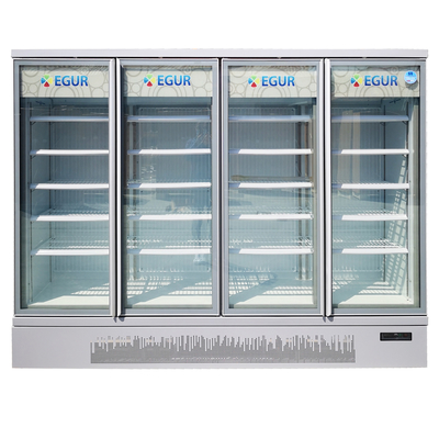 Dixell Dijital Termostatlı Fan Soğutma Cam Kapı Dondurucu Merchandiser